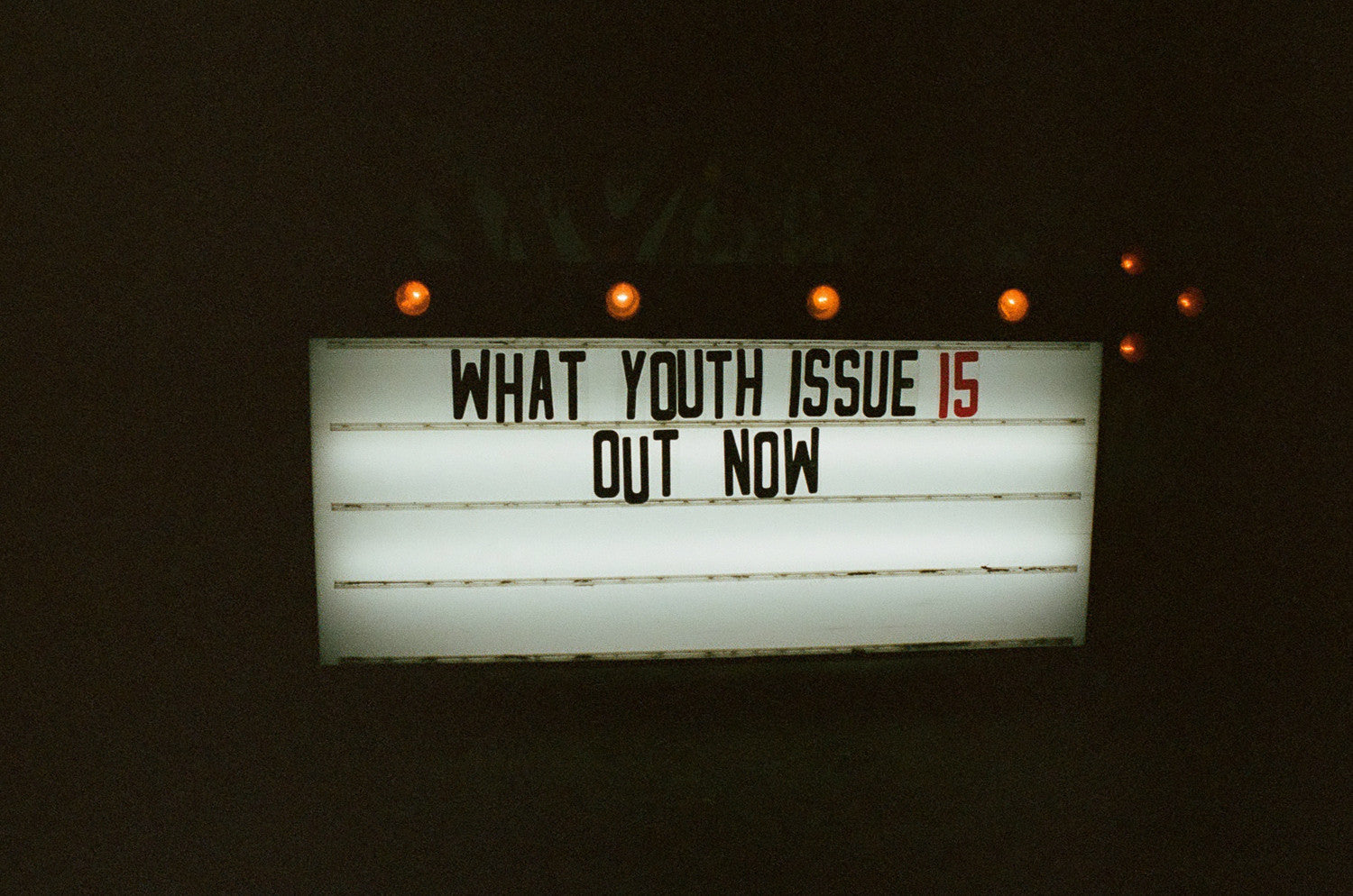 What Youth Issue 15 Release Party at the Ace Palm Springs