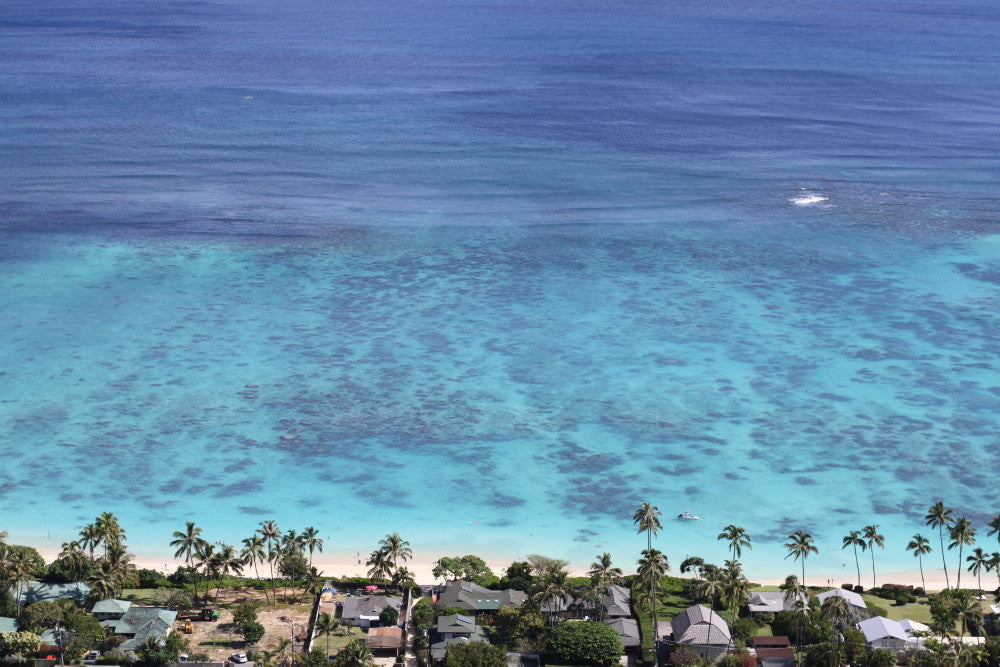 Analogue Convergence - Tropical Hues Print (11" x 14") - Aloha Beach Club