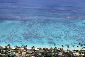 Analogue Convergence - Tropical Hues Print (11" x 14") - Aloha Beach Club