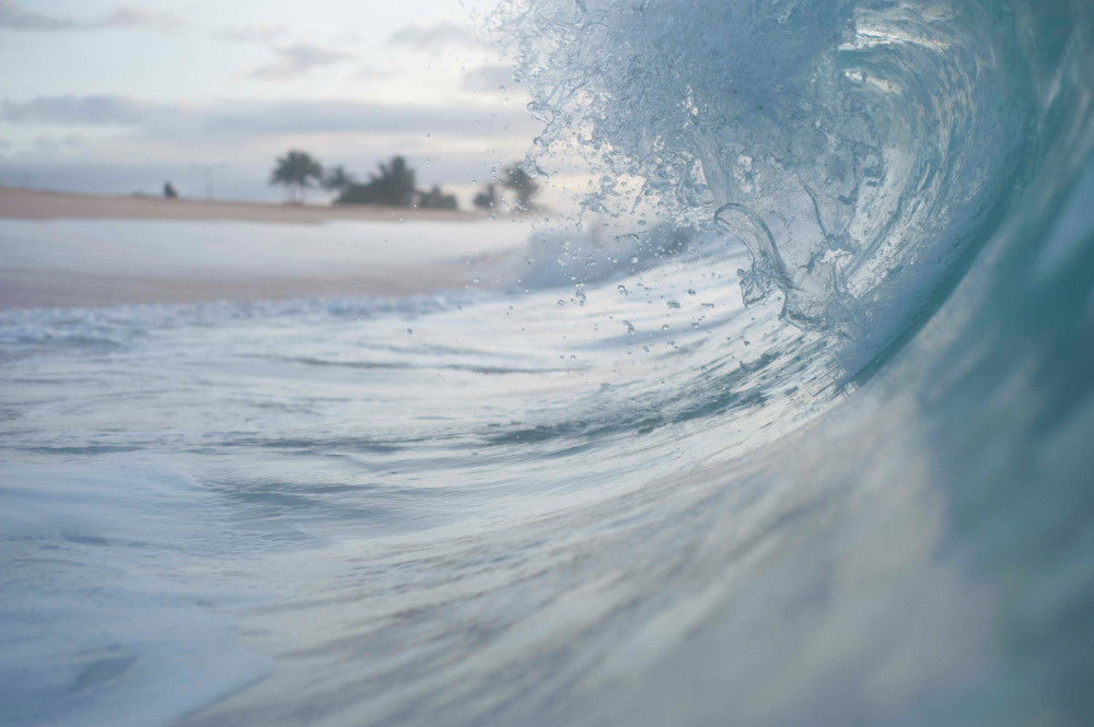 Analogue Convergence - Nalu Print (11" x 14") - Aloha Beach Club
