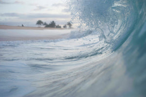 Analogue Convergence - Nalu Print (11" x 14") - Aloha Beach Club