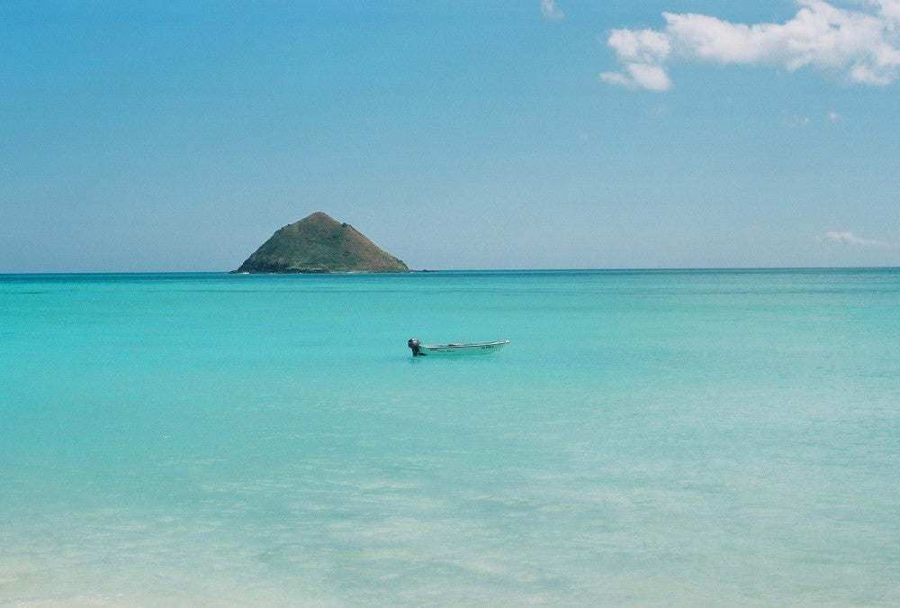 Analogue Convergence - 8" x 10" Cerulean Print - Aloha Beach Club