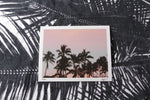 Analogue Convergence - 8" x 10" Palms Print - Aloha Beach Club