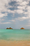 Analogue Convergence - 8" x 10" Mokes Print - Aloha Beach Club