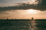 Analogue Convergence - 8" x 10" Outrigger Print - Aloha Beach Club