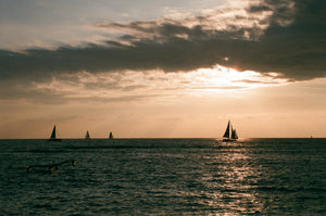 Analogue Convergence - 8" x 10" Outrigger Print - Aloha Beach Club