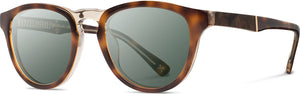 Shwood - Francis: Brindle //Elm Burl - G15