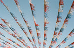 Analogue Convergence - 8" x 10" La Brea Print - Aloha Beach Club