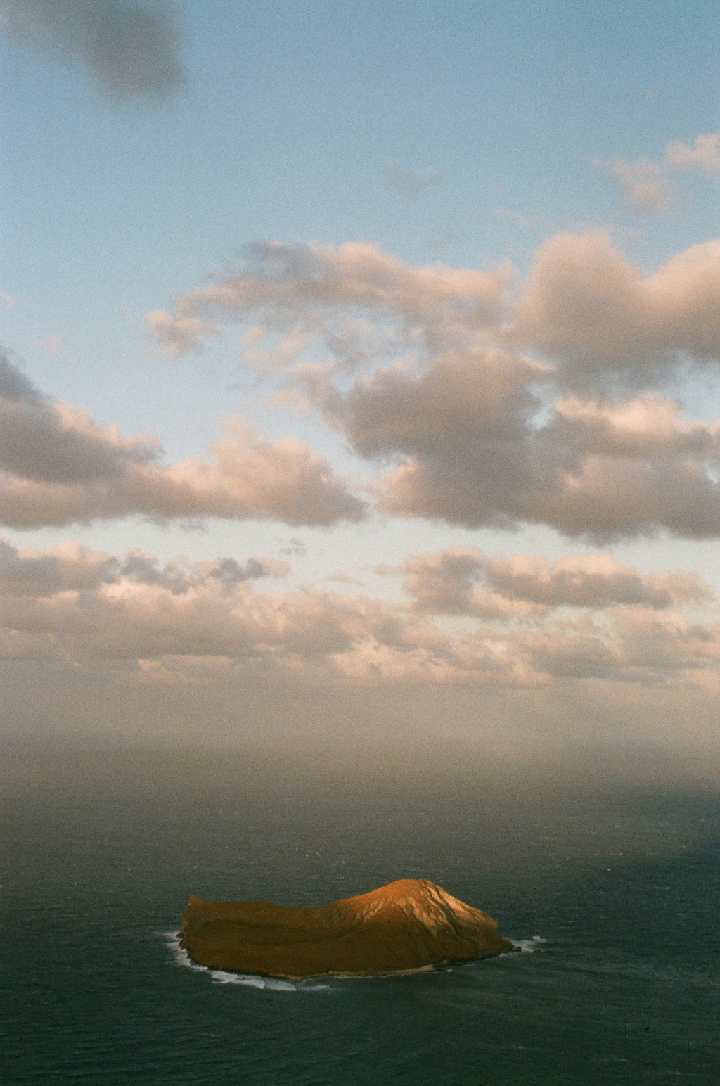 Analogue Convergence - 8" x 10" Rabbit Island Print - Aloha Beach Club