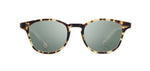 Shwood - Kennedy : Havana - G15
