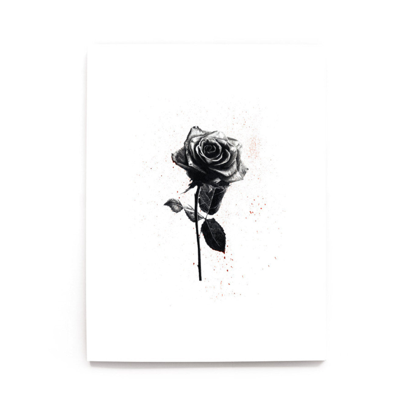 What Youth - Issue 16
